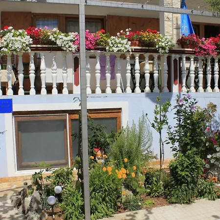 Apartments Mato - 100M From Beach Anić